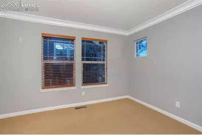 3465 Fantasy Place, Castle Rock, CO 80109 - Photo 32