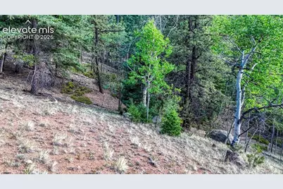 783 Bennett Drive, Cripple Creek, CO 80813 - Photo 14
