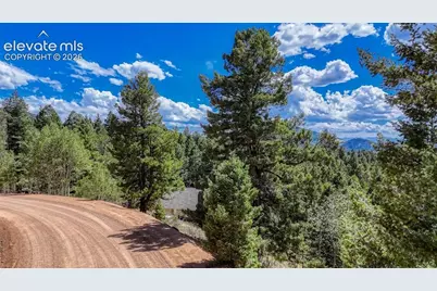 783 Bennett Drive, Cripple Creek, CO 80813 - Photo 10