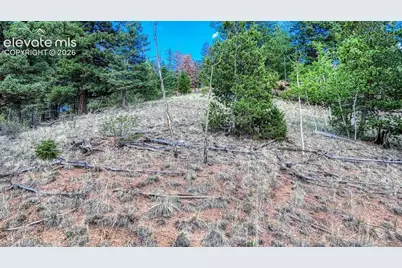 783 Bennett Drive, Cripple Creek, CO 80813 - Photo 16