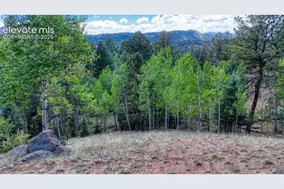 783 Bennett Drive, Cripple Creek, CO 80813 - Photo 2