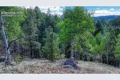 783 Bennett Drive, Cripple Creek, CO 80813 - Photo 4