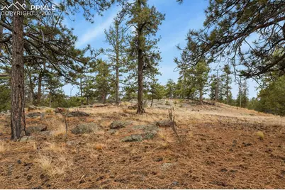 957 Arapahoe Drive, Florissant, CO 80816 - Photo 26