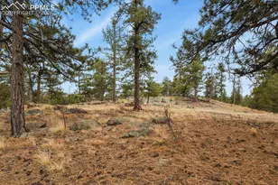 957 Arapahoe Dr, Florissant, CO 80816 - Photo 26