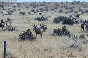 5339 Co Rd 19, Florence, CO 81226 - Photo 50