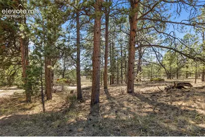 349 Rhyolite Lane, Florissant, CO 80816 - Photo 2