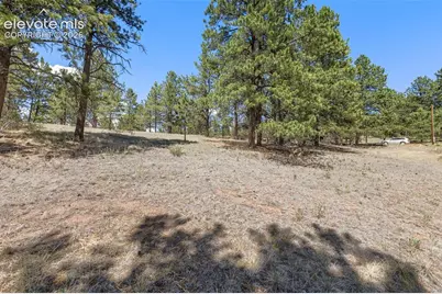 349 Rhyolite Lane, Florissant, CO 80816 - Photo 4