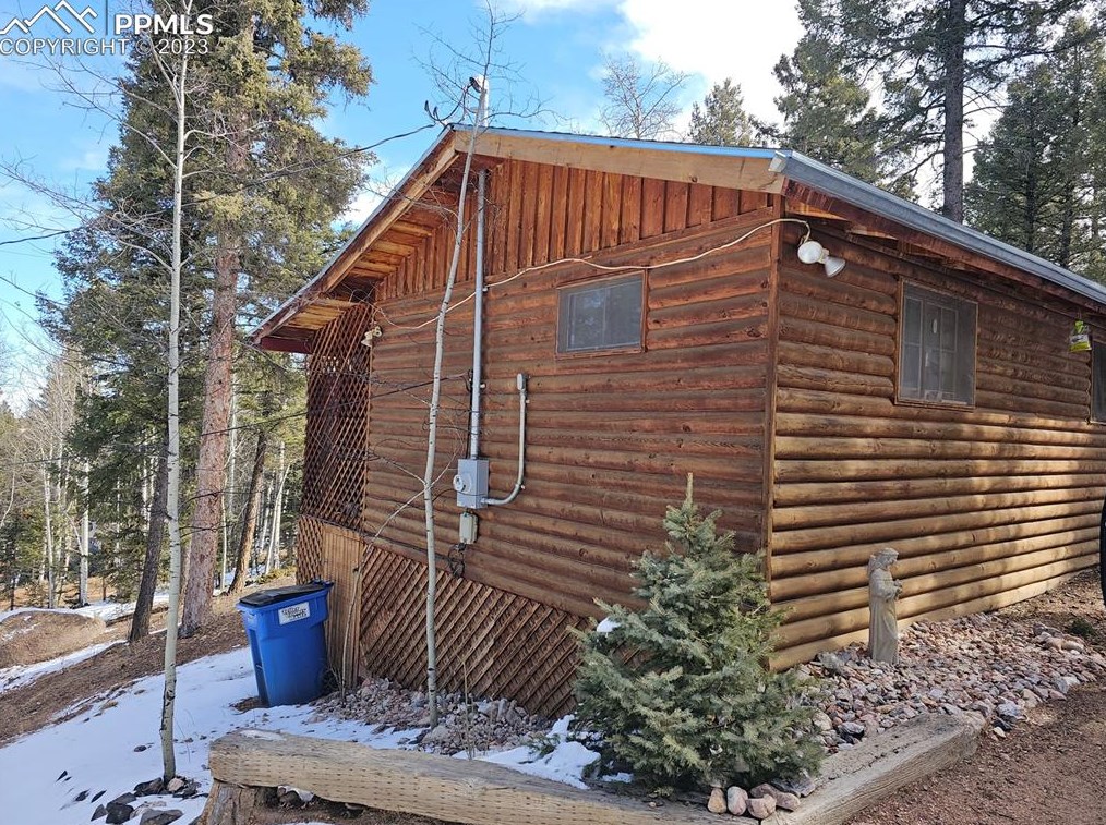 866 Jolly Rogue Dr, Divide, CO 80814