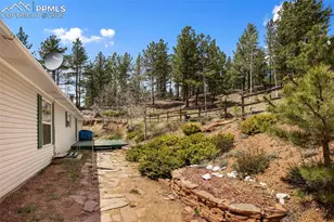 1011 W Bison Creek Trail, Divide, CO 80814 - Photo 28