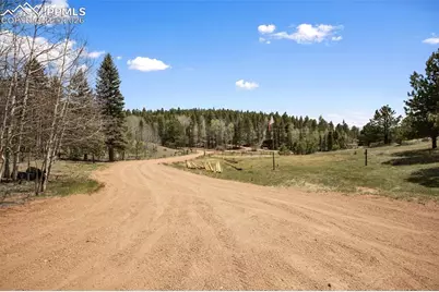 1011 W Bison Creek Trail, Divide, CO 80814 - Photo 6