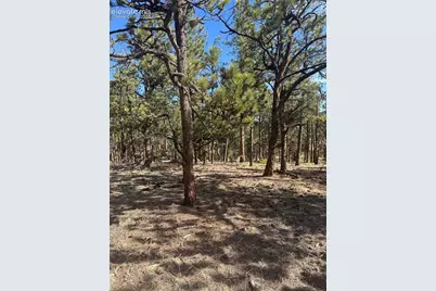 642 Matterhorn Drive, Florissant, CO 80816 - Photo 2
