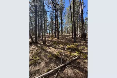 642 Matterhorn Drive, Florissant, CO 80816 - Photo 6