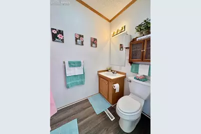 9403 Summer Meadows Drive, Colorado Springs, CO 80925 - Photo 24