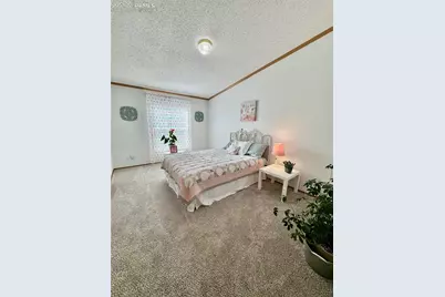 9403 Summer Meadows Drive, Colorado Springs, CO 80925 - Photo 20