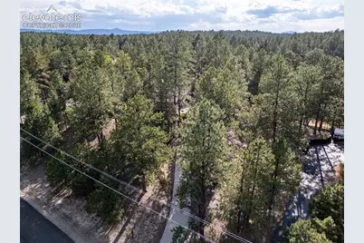 545 Tenderfoot Drive, Larkspur, CO 80118 - Photo 40