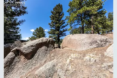 110 La Abu Trail, Florissant, CO 80816 - Photo 18