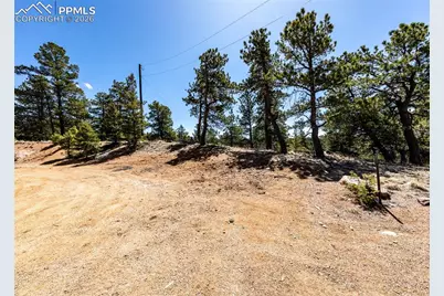 110 La Abu Trail, Florissant, CO 80816 - Photo 10