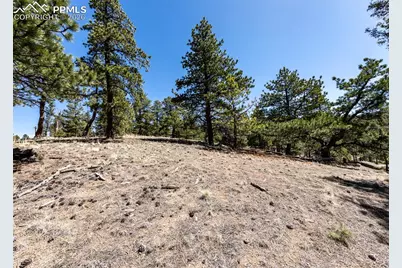 110 La Abu Trail, Florissant, CO 80816 - Photo 12