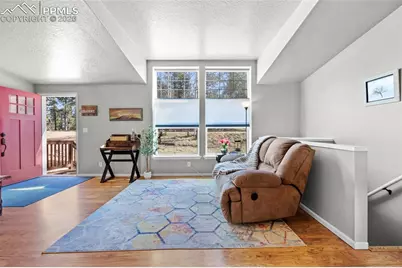 391 Kutsu Ridge Road, Florissant, CO 80816 - Photo 8