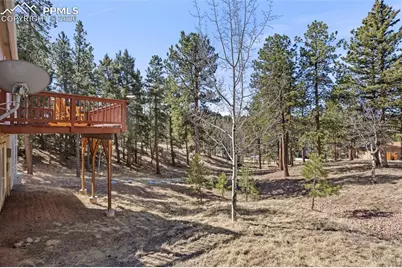 391 Kutsu Ridge Road, Florissant, CO 80816 - Photo 38