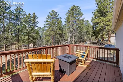 391 Kutsu Ridge Road, Florissant, CO 80816 - Photo 36