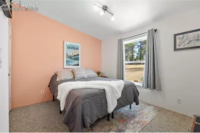 391 Kutsu Ridge Road, Florissant, CO 80816 - Photo 26