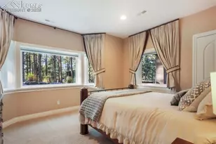 16092 Waving Branch Way, Colorado Springs, CO 80908 - Photo 44