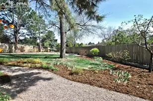 3255 Wesley Ln, Colorado Springs, CO 80917 - Photo 42