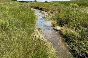 18320 Falcon Hwy, Peyton, CO 80831 - Photo 50