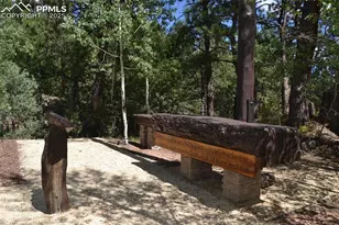 2 Golden Eagle Heights, Florissant, CO 80816 - Photo 44