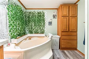 21495 La Piedra Point, Fountain, CO 80817 - Photo 22