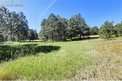 18390 Black Squirrel Road, Colorado Springs, CO 80908 - Photo 6