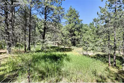 18390 Black Squirrel Road, Colorado Springs, CO 80908 - Photo 8