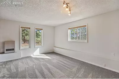 45 Barr Lake Circle, Divide, CO 80814 - Photo 26