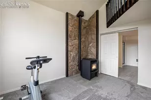 45 Barr Lake Cir, Divide, CO 80814 - Photo 28