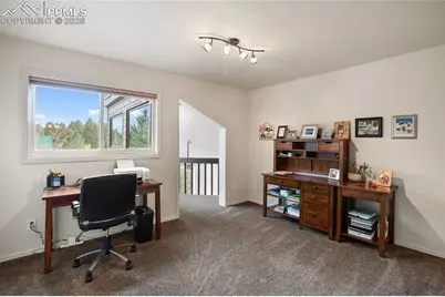 45 Barr Lake Circle, Divide, CO 80814 - Photo 20