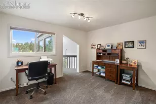 45 Barr Lake Cir, Divide, CO 80814 - Photo 20