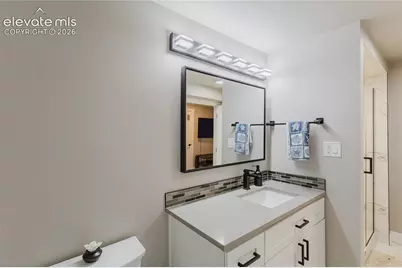 372 Mission Hill Way, Colorado Springs, CO 80921 - Photo 32