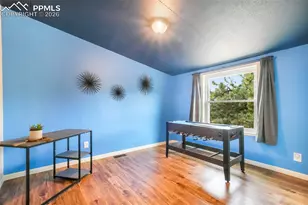 696 Calle De La Nieva, Florissant, CO 80816 - Photo 30