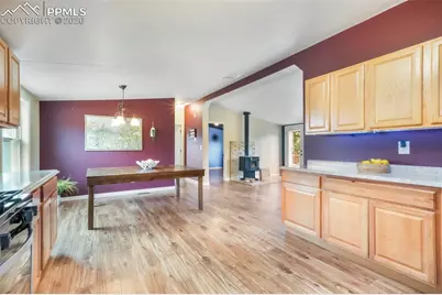 696 Calle De La Nieva, Florissant, CO 80816 - Photo 12