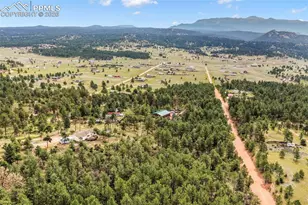 696 Calle De La Nieva, Florissant, CO 80816 - Photo 44