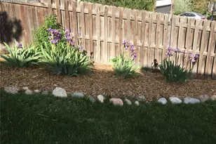 260 Haversham Dr, Colorado Springs, CO 80906 - Photo 46