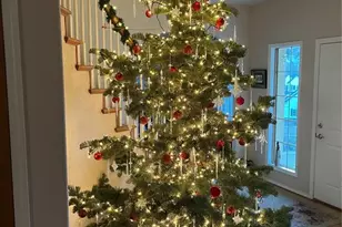 260 Haversham Dr, Colorado Springs, CO 80906 - Photo 40