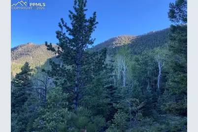 285 Forest Road, Manitou Springs, CO 80829 - Photo 4