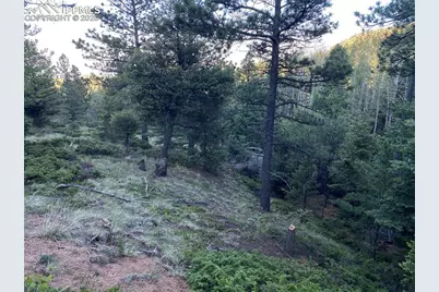 285 Forest Road, Manitou Springs, CO 80829 - Photo 10