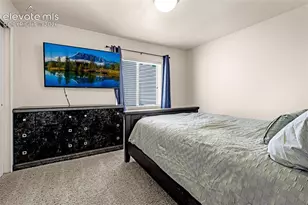 288 Pyrite Terrace, Colorado Springs, CO 80905 - Photo 14