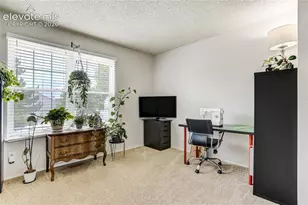 3351 Queen Anne Way, Colorado Springs, CO 80917 - Photo 24