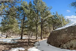 10449 County Road 1, Florissant, CO 80816 - Photo 34