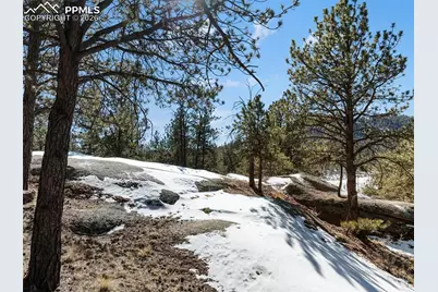 10449 Cr 1 Road, Florissant, CO 80816 - Photo 36