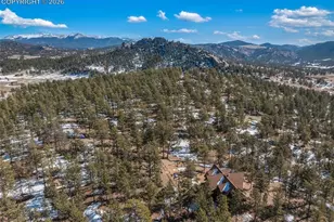 10449 County Road 1, Florissant, CO 80816 - Photo 2